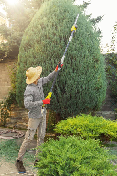 Best Arborist Consultation Services  in Goliad, TX